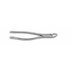 Extraction Forceps #151 serrated 